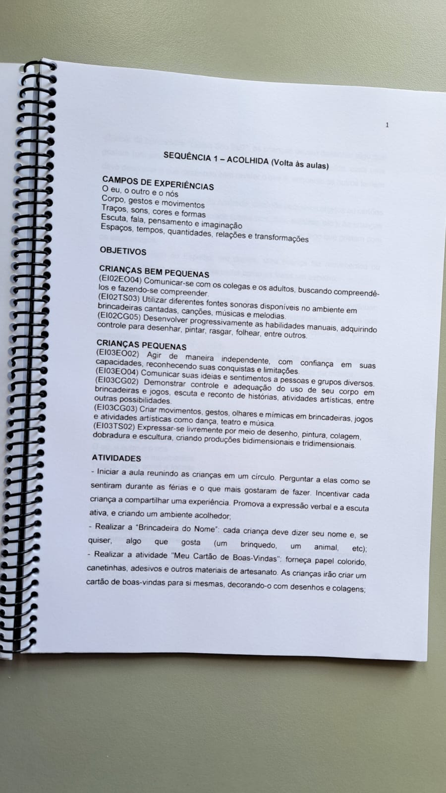 Plano de aula educação infantil - Imagem 3