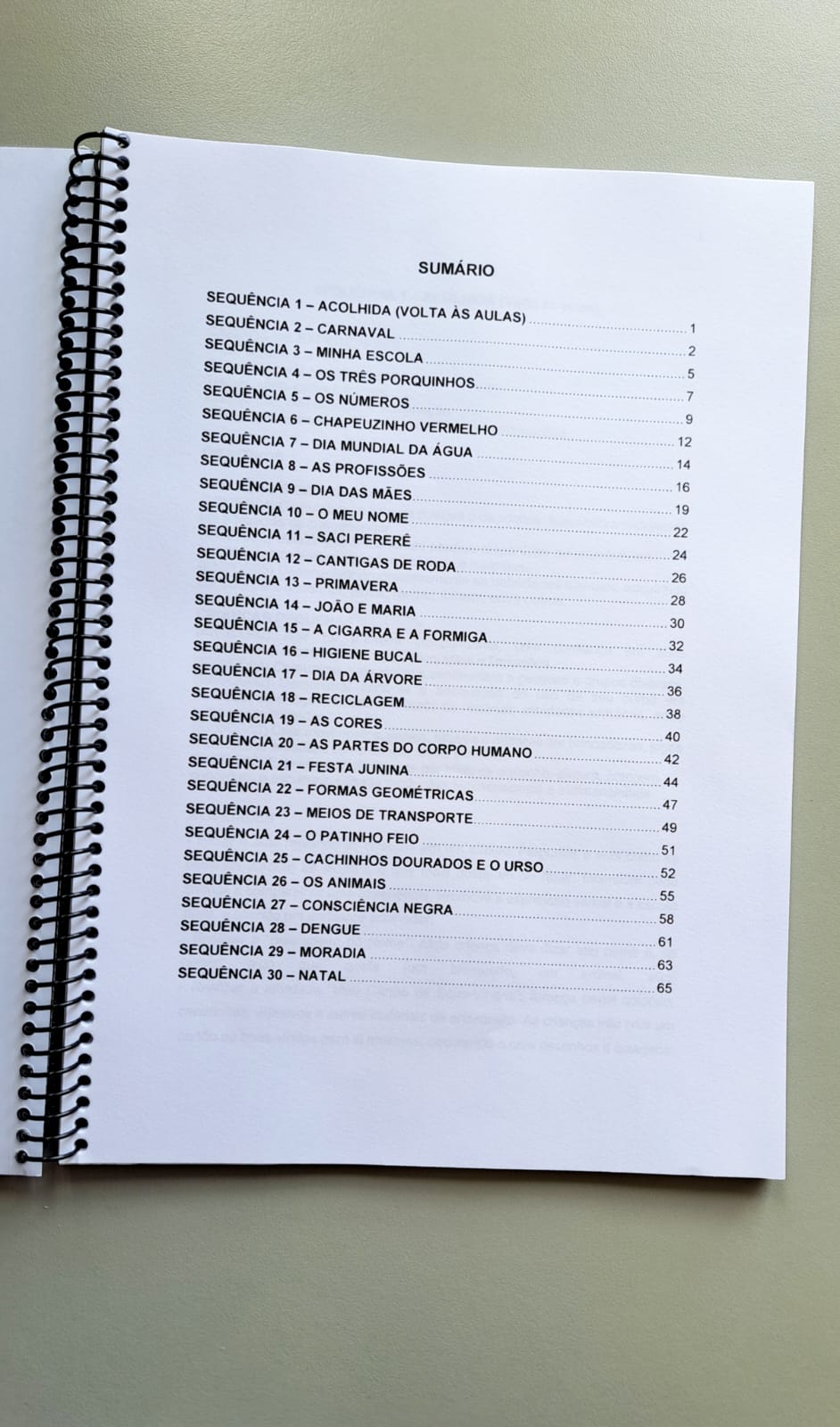 Plano de aula educação infantil - Imagem 4