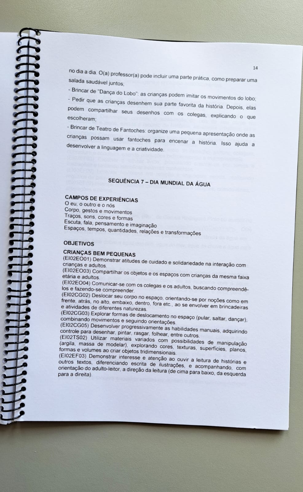 Plano de aula educação infantil - Imagem 6